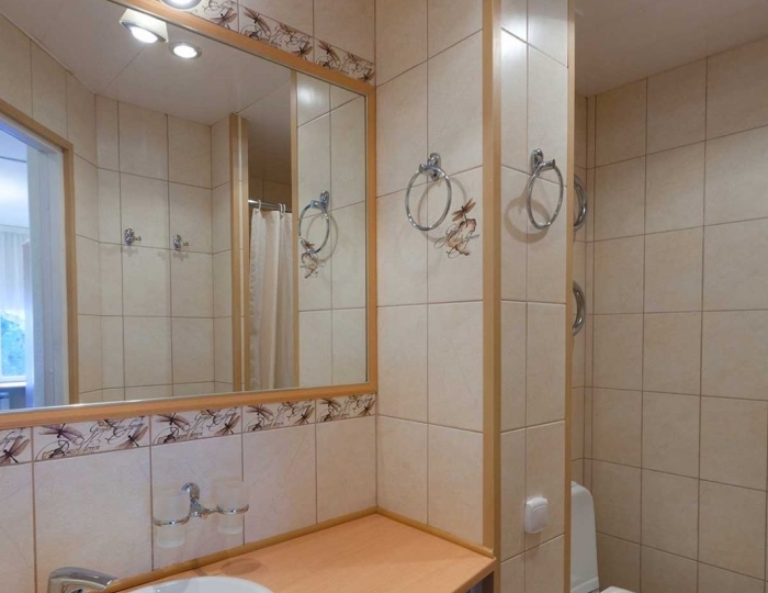 Стандарт SNGL (корпус №2) - Санаторий «Черная речка» Молодежное