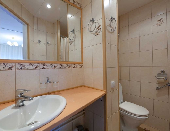 Стандарт (корпус №1) - Санаторий «Черная речка» Молодежное